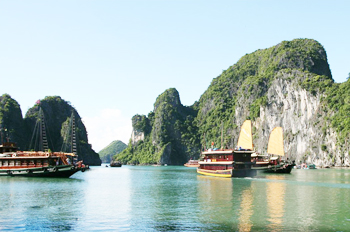 kinh nghiem du lich ha long ami1