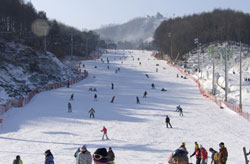 Du lịch Hàn quốc