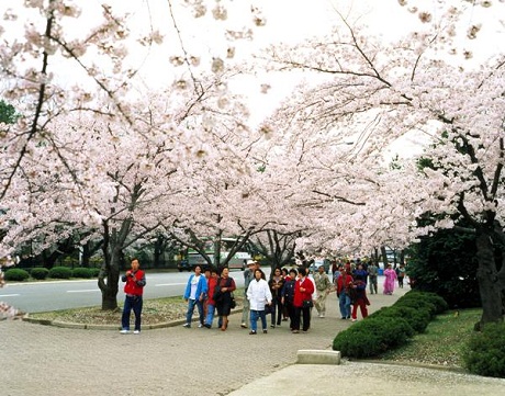 du lịch hàn quốc ữu đãi visa