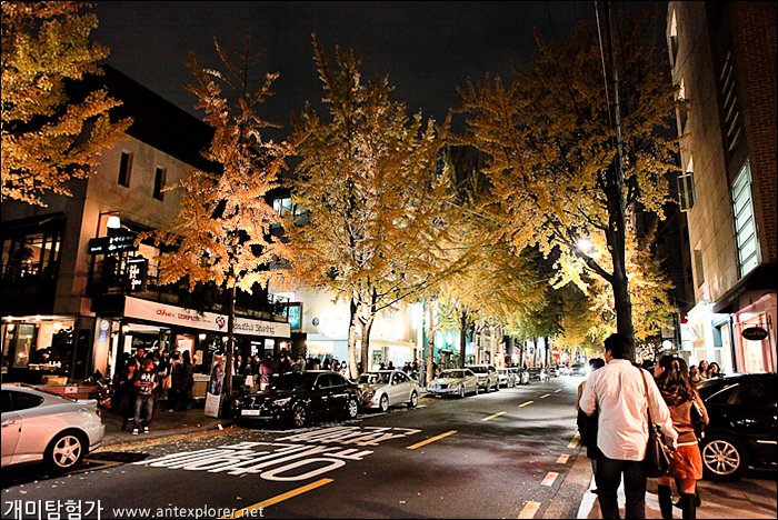 cảm nhận du lịch hàn quốc