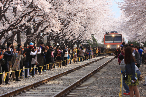 tour du lịch Han quoc tháng 5