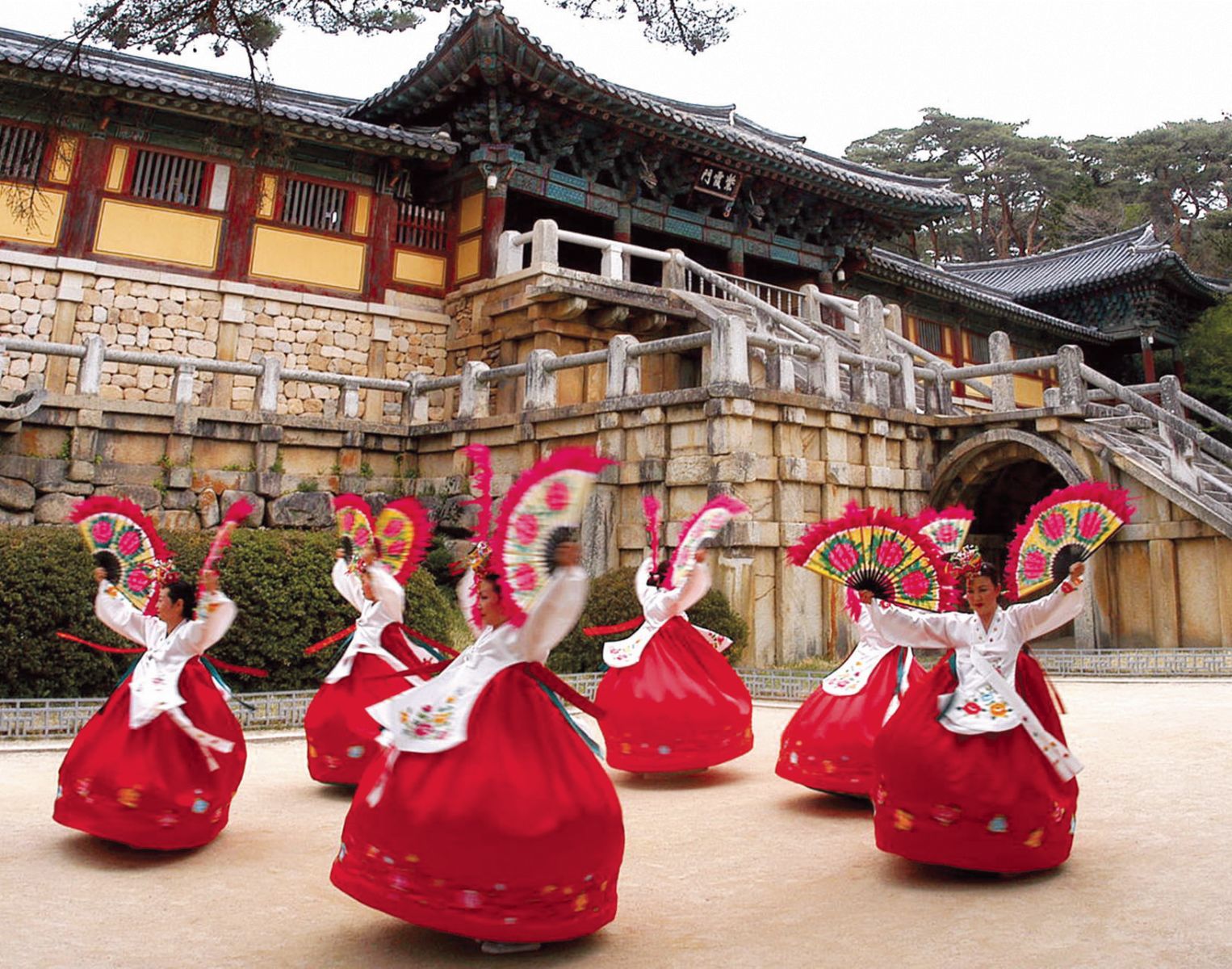 du lịch hàn quốc cổ vũ việt nam