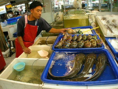 thú vị đất thái