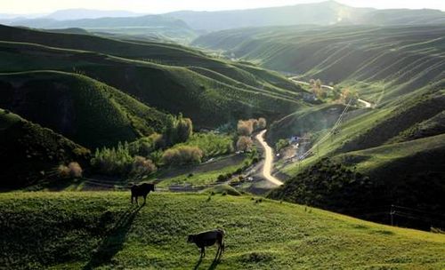 du lịch đảo cỏ châu âu