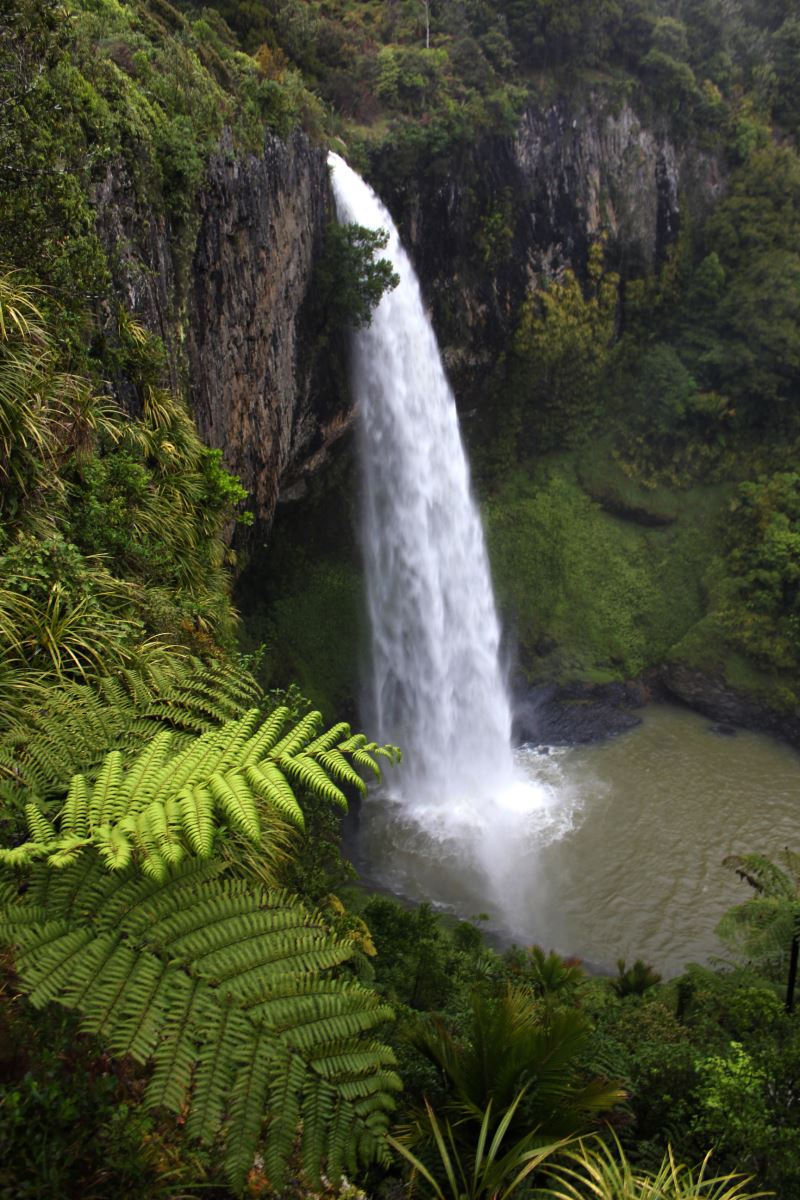 Du lịch new zealand