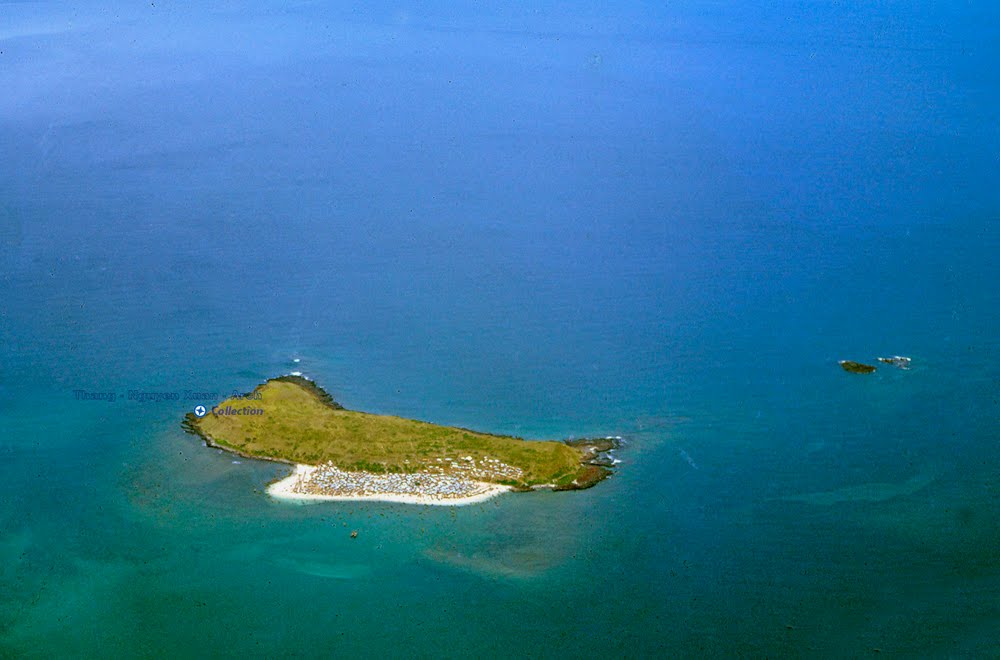 Phú Yên điểm đến nổi tiếng với hoa vàng trên cỏ xanh - ảnh 5