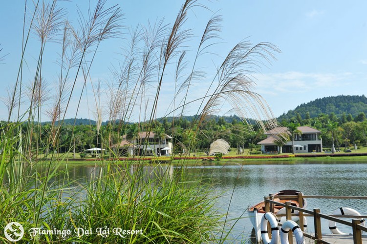 Flamingo Đại Lải Resort & Spa