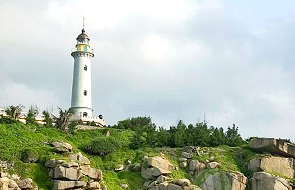 Phú Yên điểm đến nổi tiếng với hoa vàng trên cỏ xanh - ảnh 6