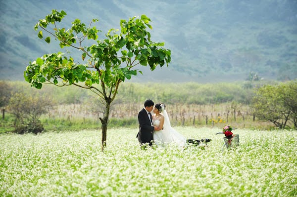 Mộc Châu đẹp đến ngỡ ngàng khi tết đến xuân về - 8