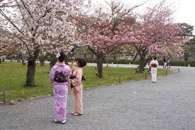 Osakanhatban_amitour