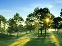 Tp.Hồ Chí Minh - Cao Nguyên Đà Lạt - Tp.Hồ Chí Minh(4 ngày/ 3 đêm)