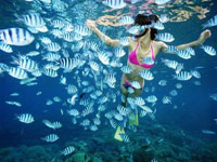 Đảo Jeju, báu vật xứ sở kim chi