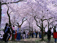 Vẻ đẹp thiên nhiên Hàn Quốc