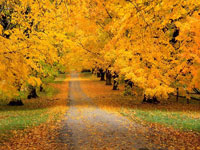 Tư liệu về Hàn Quốc