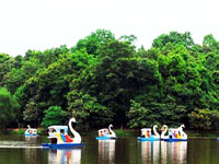 Hà Nội - Ao Vua - Đầm Long - Hà Nội (1 ngày)