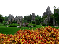 Hà Nội - Côn Minh - Thạch Lâm - Cửu Hương - Hà Nội (4ngày)