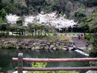 Du lịch Hàn Quốc qua hình ảnh