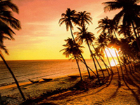 Tp.Hồ Chí Minh - Mũi Né - Tp.Hồ Chí Minh (2 ngày/1 đêm)