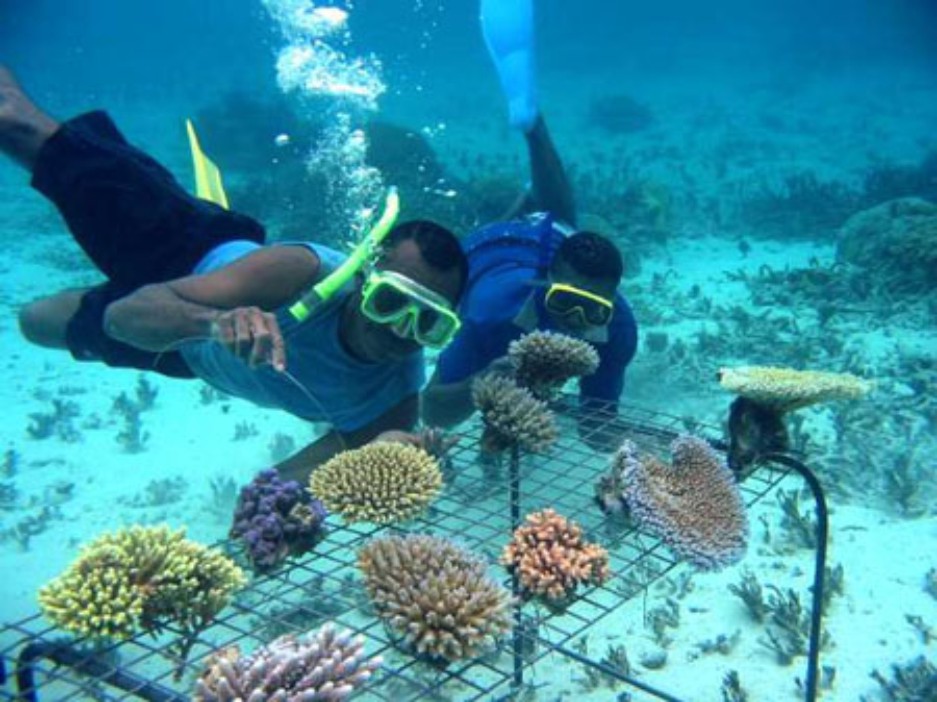 Du lịch Quy Nhơn: Lặn biển - trượt cát - văn hóa Chăm Pa