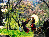 Hà Nội - Hạ Long- Tuần Châu - Chùa Hương - Hoa Lư - Tam Cốc - Sapa (8 ngày/7 đêm)