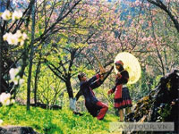 Hà Nội - Hạ Long - Sapa - Hà Nội (6 ngày/5 đêm)