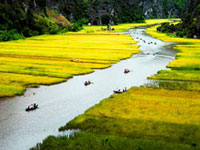 Tp Hồ Chí Minh - Hà Nội - Hạ Long - Tuần Châu - Hoa Lư - Tam Cốc- Tp. Hồ Chí Minh