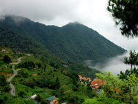 Hà Nội - Tam Đảo - Hà Nội ( 1 ngày)