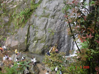 Hà Nội - Tam Đảo - Hà Nội ( 2ngày)