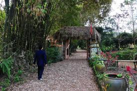 Khu du lịch sinh thái Vịt Cổ Xanh