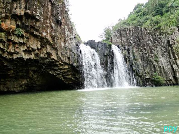 Phú Yên điểm đến nổi tiếng với hoa vàng trên cỏ xanh - ảnh 2