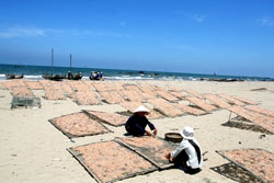 Du lịch biển Hải Hòa - Tĩnh Gia - Thanh Hóa